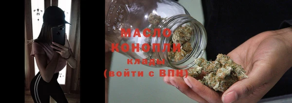крисы Няндома