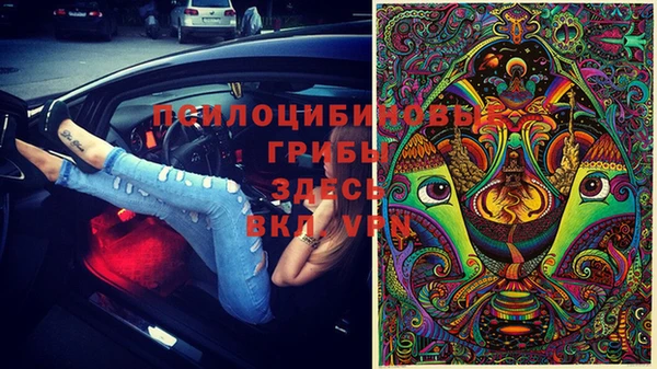 jwh Новозыбков