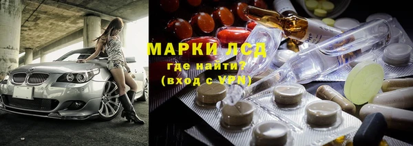 спиды Новодвинск