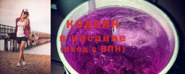 крисы Няндома