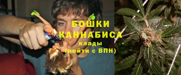 крисы Няндома